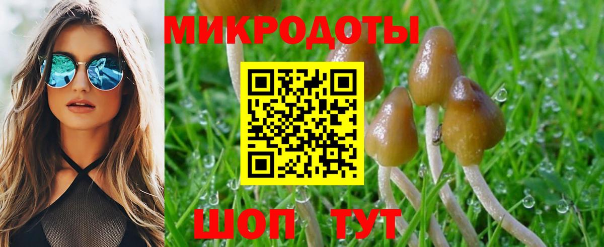 Галлюциногенные грибы ЛСД  Вход с VPN  Псилоцибиновые грибы Psilocybe  Шали 