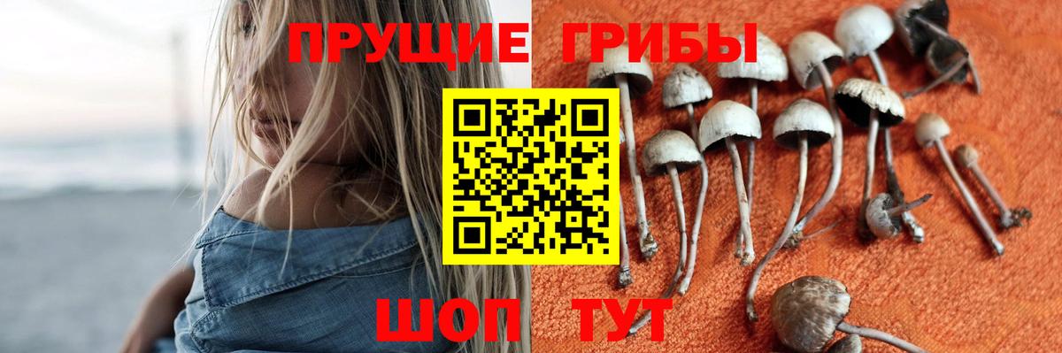 Галлюциногенные грибы Magic Shrooms Шали